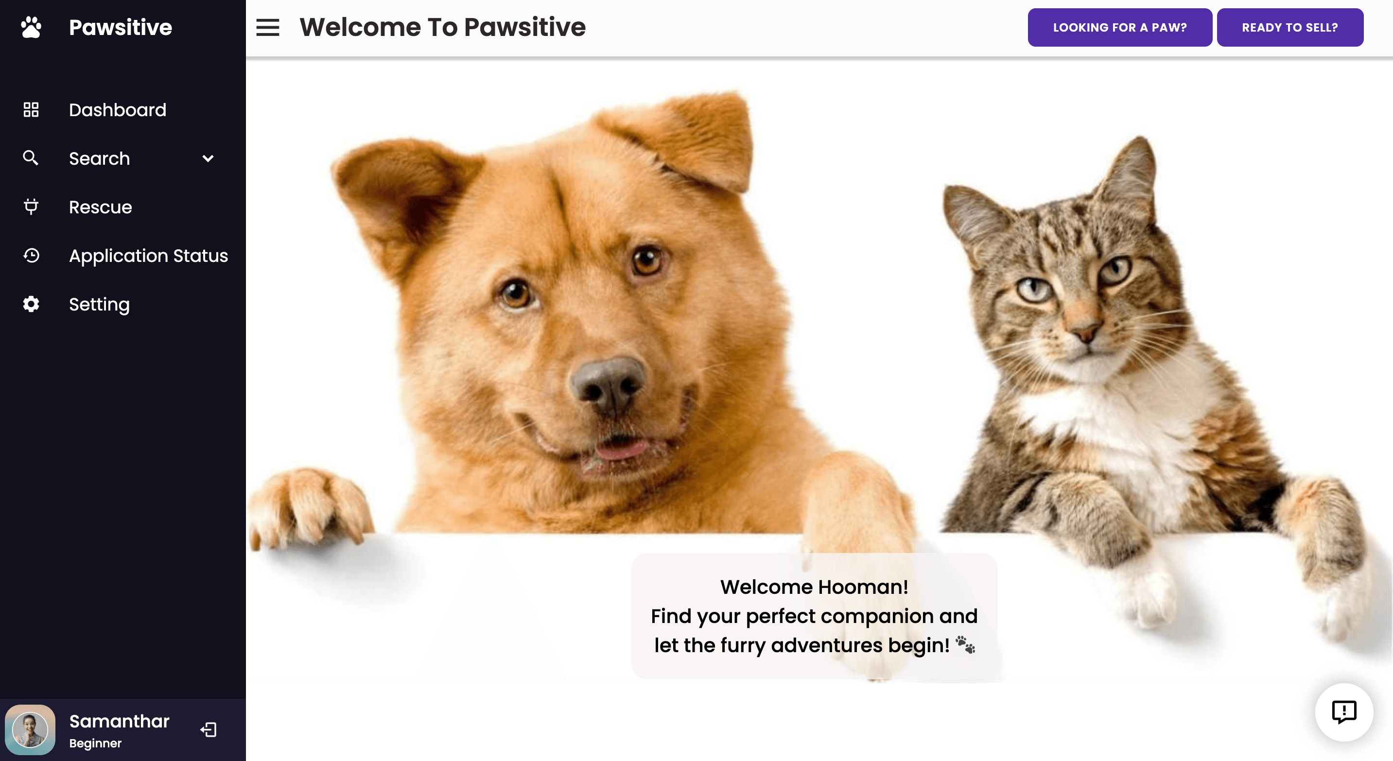 Welcome dashboard Pawsitive welcome dashboard with pet discovery and seller actions, plus navigation for search, rescue, and applications